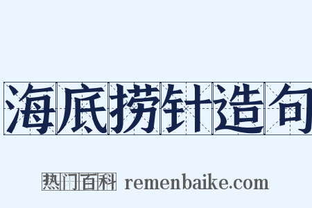 海底捞针造句是什么意思的图片